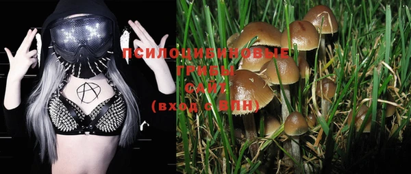 ПСИЛОЦИБИНОВЫЕ ГРИБЫ Зерноград