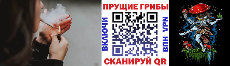 Галлюциногенные грибы Cubensis  Купить  Элиста 