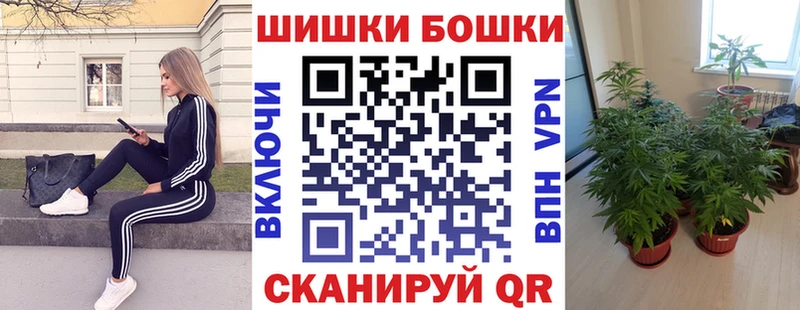 Конопля тримм  Купить закладки  Элиста